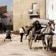 Baarìa - galeria zdjęć - filmweb