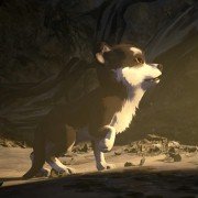 Croc-Blanc - galeria zdjęć - filmweb