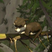 Croc-Blanc - galeria zdjęć - filmweb