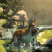Croc-Blanc - galeria zdjęć - filmweb