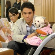Ming Zhong Zhu Ding Wo Ai Ni - galeria zdjęć - filmweb