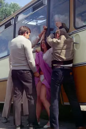 Karate po polsku - galeria zdjęć - filmweb