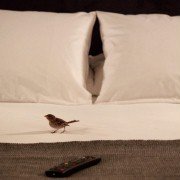 Bird People - galeria zdjęć - filmweb