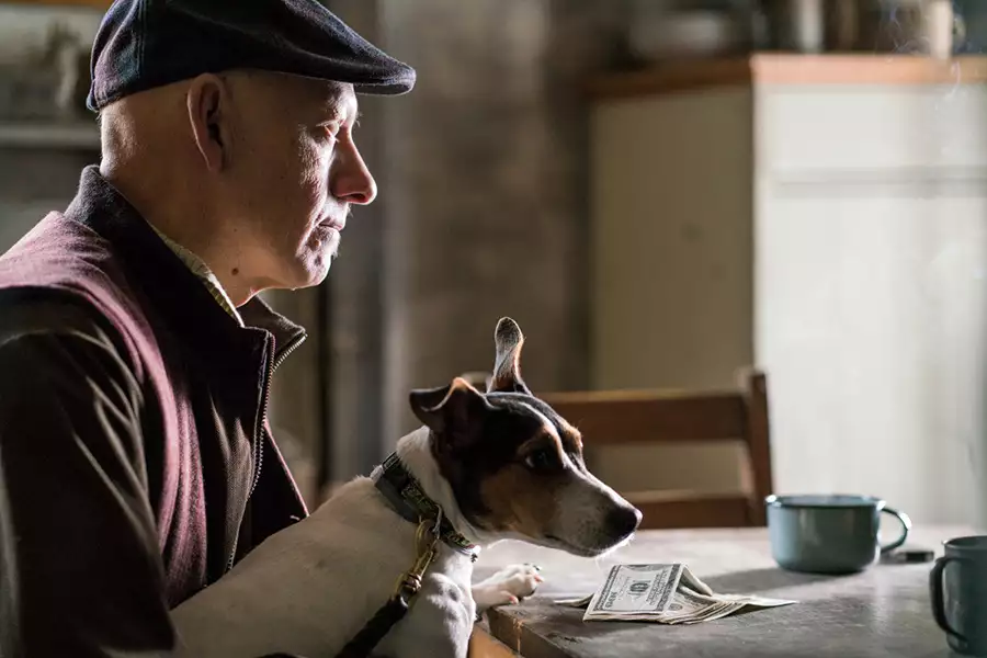 Pułapka - galeria zdjęć - filmweb