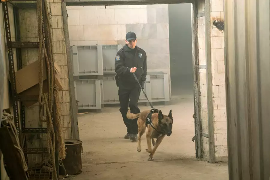 Pułapka - galeria zdjęć - filmweb