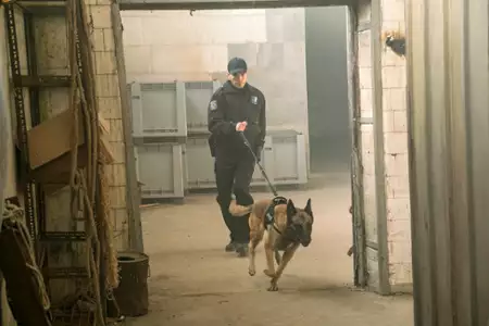 Pułapka - galeria zdjęć - filmweb