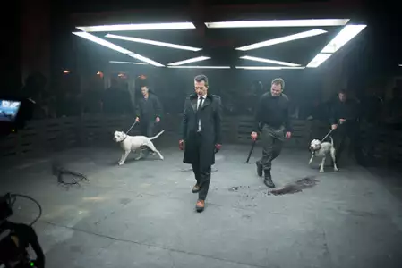 Pułapka - galeria zdjęć - filmweb
