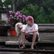 Gohan - galeria zdjęć - filmweb