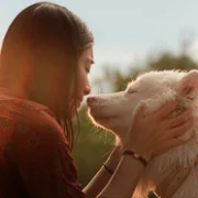 Gohan - galeria zdjęć - filmweb