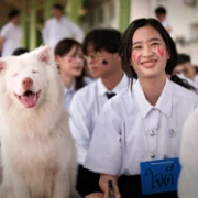 Gohan - galeria zdjęć - filmweb