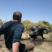 W imię króla 3: Ostatnia misja - galeria zdjęć - filmweb