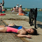 Ava - galeria zdjęć - filmweb