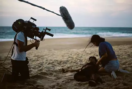 Ava - galeria zdjęć - filmweb