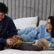 The D'Amelio Show - galeria zdjęć - filmweb