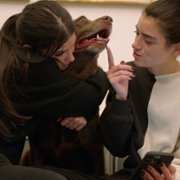 The D'Amelio Show - galeria zdjęć - filmweb