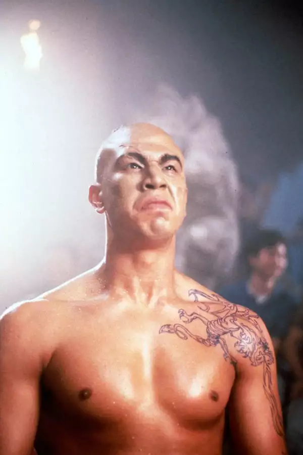 Kickboxer - galeria zdjęć - filmweb