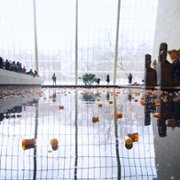 All the Beauty and the Bloodshed - galeria zdjęć - filmweb