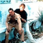 Kocur - galeria zdjęć - filmweb