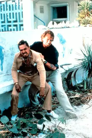 Kocur - galeria zdjęć - filmweb