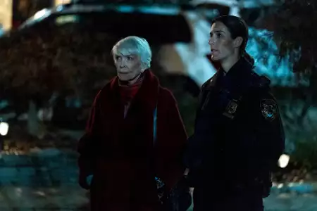 Prawo i porządek: Przestępczość zorganizowana - galeria zdjęć - filmweb