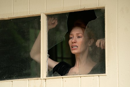 Sezon 15 Odcinek 9 Znikająca dama