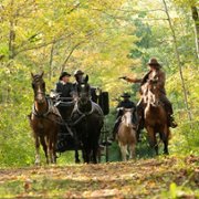 Murdoch Mysteries - galeria zdjęć - filmweb