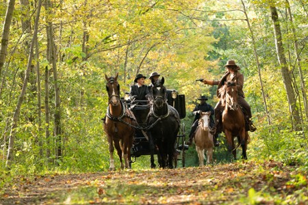 Sezon 15 Odcinek 15 Porwanie