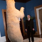 Murdoch Mysteries - galeria zdjęć - filmweb