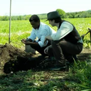 Murdoch Mysteries - galeria zdjęć - filmweb