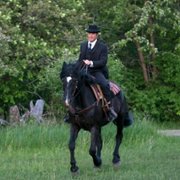 Murdoch Mysteries - galeria zdjęć - filmweb