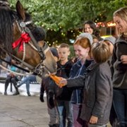 Spadek pod choinkę - galeria zdjęć - filmweb