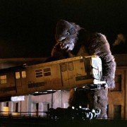 King Kong - galeria zdjęć - filmweb