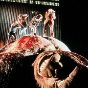 King Kong - galeria zdjęć - filmweb