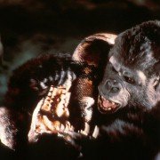King Kong - galeria zdjęć - filmweb