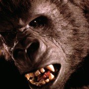 King Kong - galeria zdjęć - filmweb