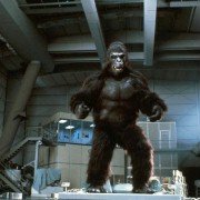King Kong - galeria zdjęć - filmweb