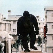 King Kong - galeria zdjęć - filmweb