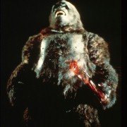 King Kong - galeria zdjęć - filmweb