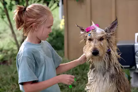 Dzięki tobie, Winn-Dixie - galeria zdjęć - filmweb