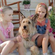 Dzięki tobie, Winn-Dixie - galeria zdjęć - filmweb