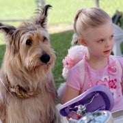 Dzięki tobie, Winn-Dixie - galeria zdjęć - filmweb