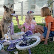 Dzięki tobie, Winn-Dixie - galeria zdjęć - filmweb