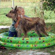 Because of Winn-Dixie - galeria zdjęć - filmweb