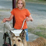Because of Winn-Dixie - galeria zdjęć - filmweb