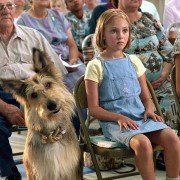 Because of Winn-Dixie - galeria zdjęć - filmweb