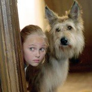 Because of Winn-Dixie - galeria zdjęć - filmweb