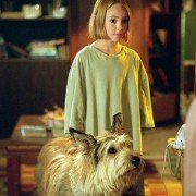 Because of Winn-Dixie - galeria zdjęć - filmweb