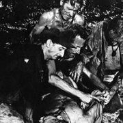 King Rat - galeria zdjęć - filmweb