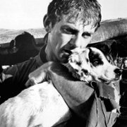 King Rat - galeria zdjęć - filmweb