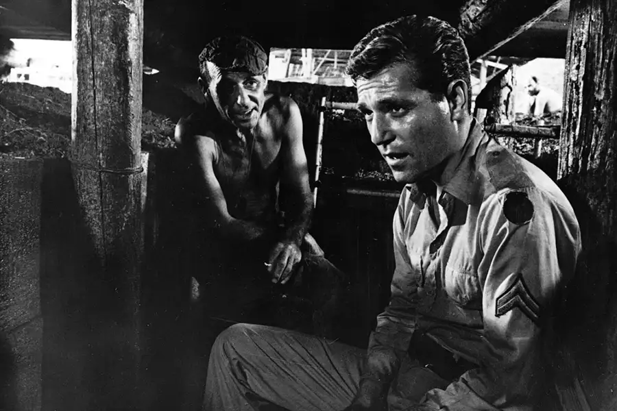 Król szczurów - galeria zdjęć - filmweb